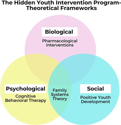 Reaching hidden youth in Singapore through the Hidden Youth Intervention Program: A biopsychosocial approach integrating mental health and social work interventions